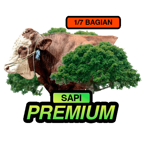 Premium